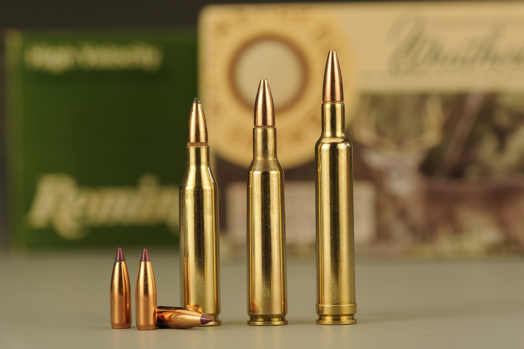 In the power standings, there is the (left to right): .243 Winchester, the 6mm Remington and the most powerful 6mm – the .240 Weatherby.